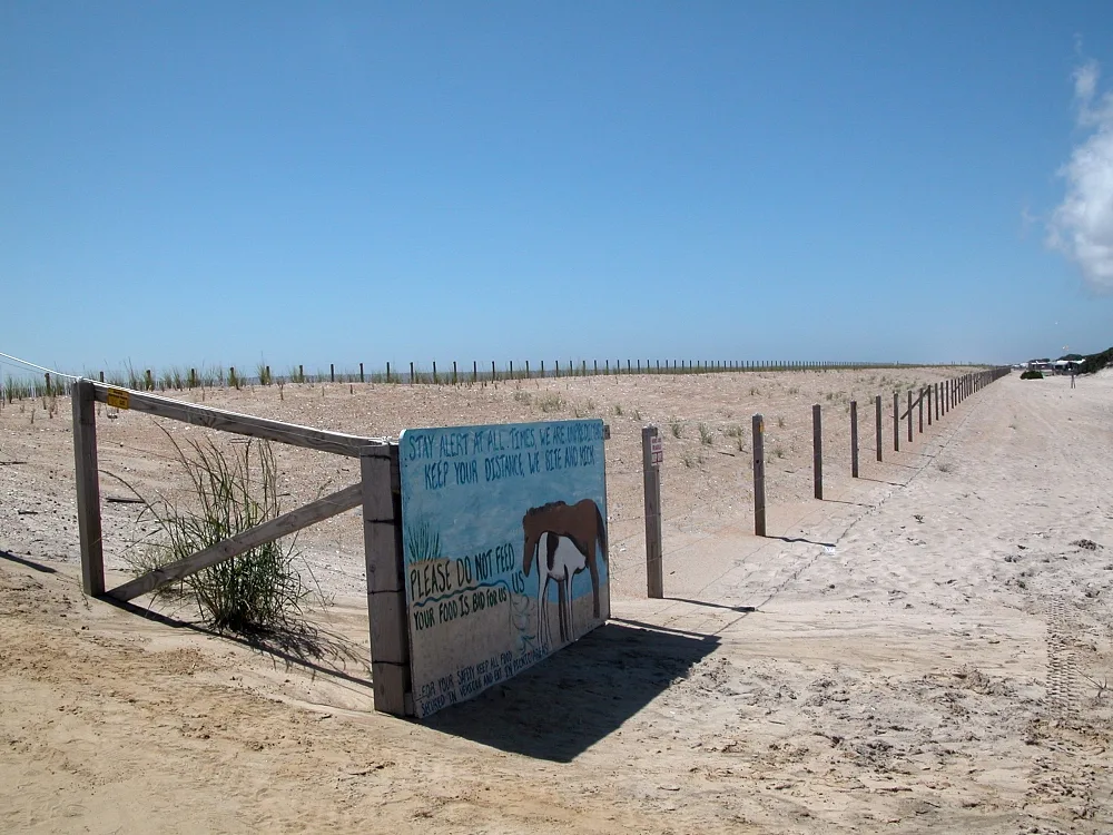 Sandy beach access and a wildlife information sign at Assateague State Park