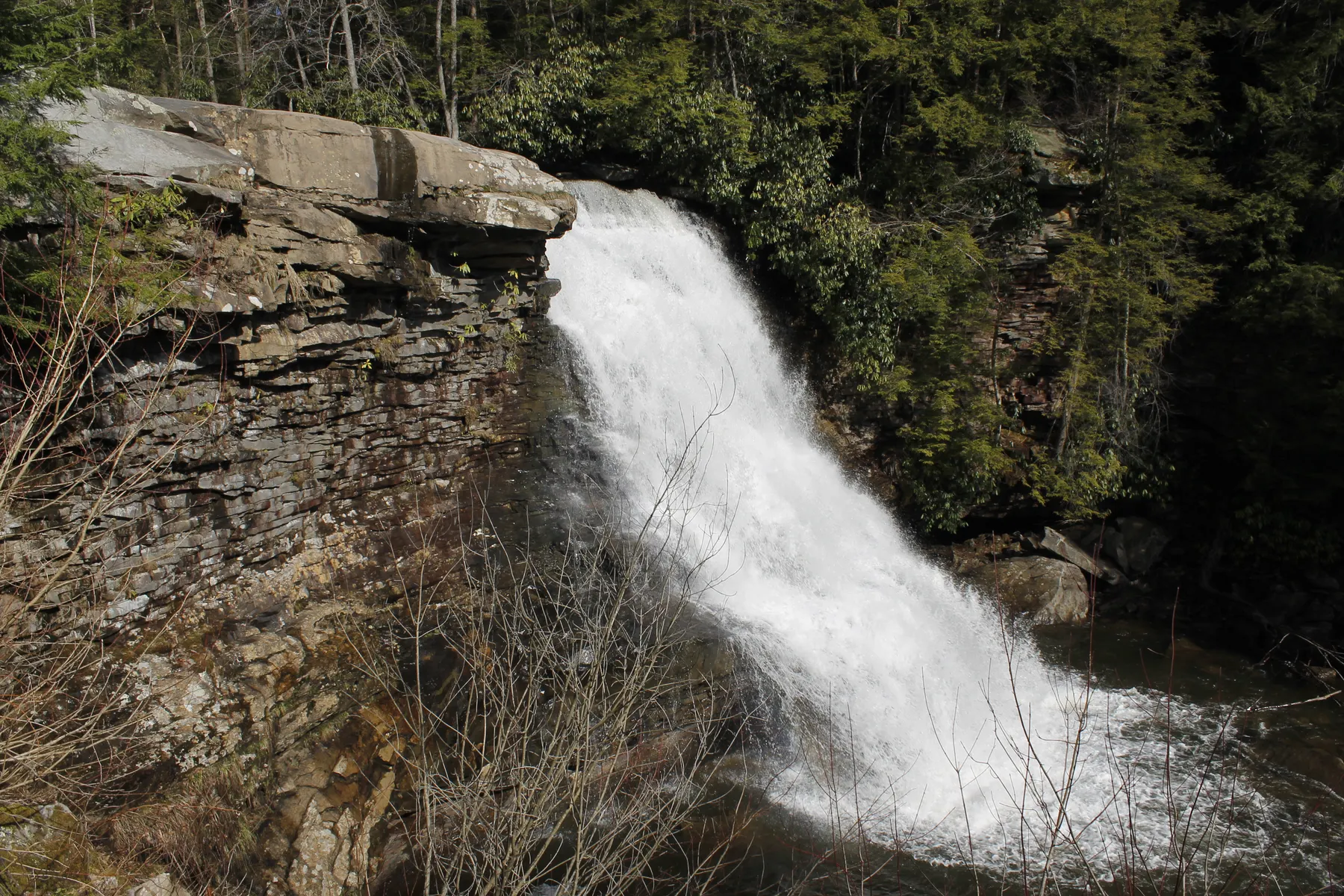 Muddy Creek Falls cascading over a rock ledge in Swallow Falls State Park